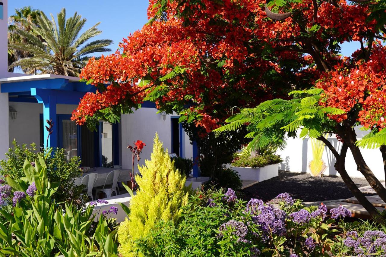 Timfay Villa Corralejo Dış mekan fotoğraf