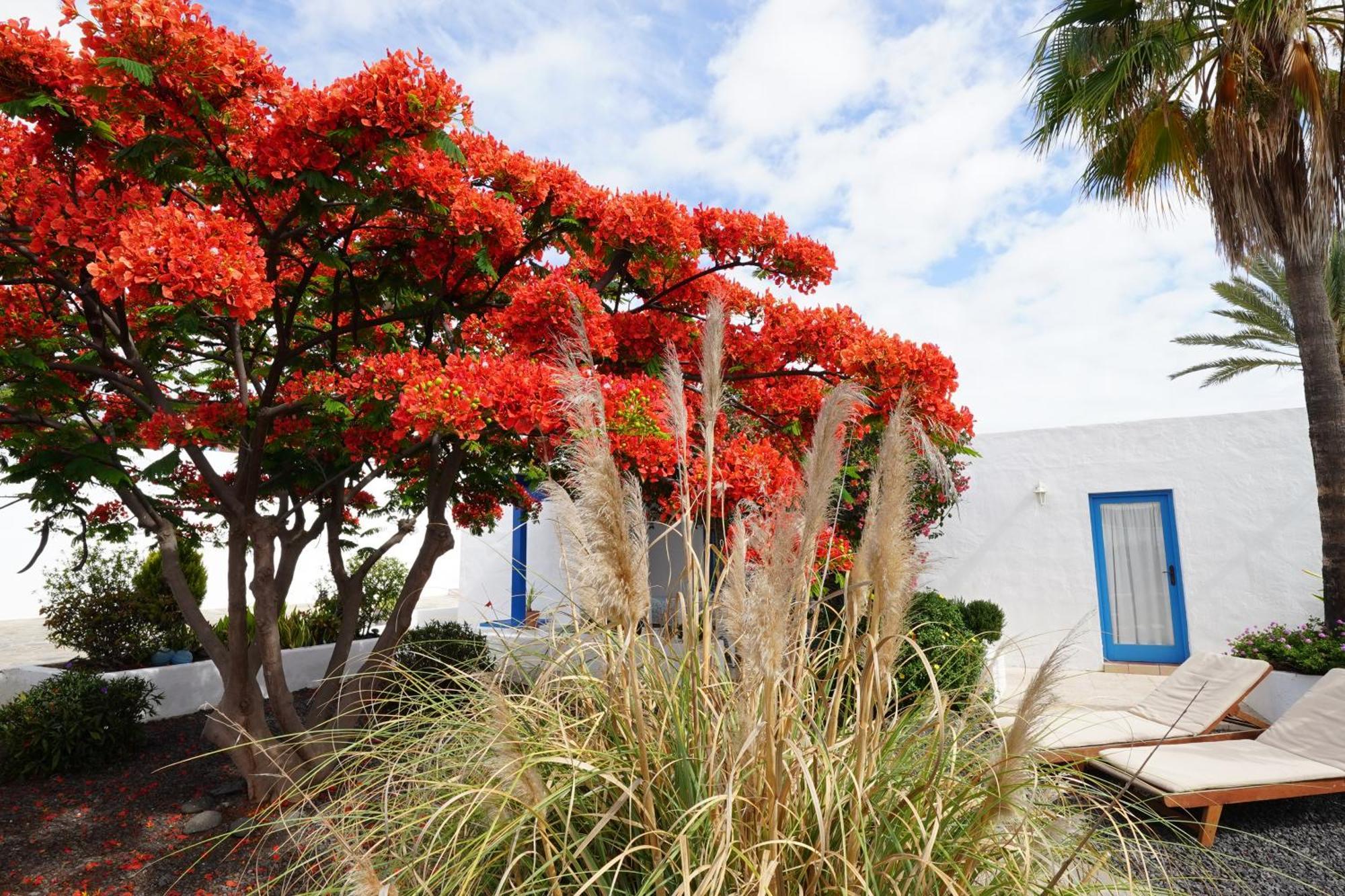 Timfay Villa Corralejo Dış mekan fotoğraf